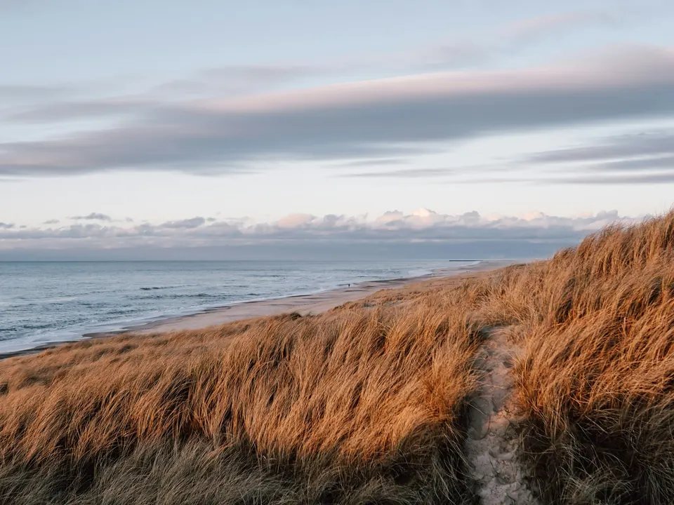 A path through Danish coastal dunes leads towards the North Sea